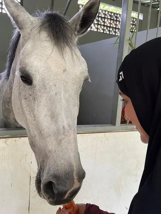 <p>Pria berusia 38 tahun itu juga menceritakan bahwa kuda yang ditunggangi Shireen merupakan kuda dari Belanda yang diberi nama Kamira. Pertama mencoba kuda baru, Shireen sempat deg-degan. Dan ternyata, jelang selesai latihan malah terjatuh karena kekencengan. [Instagram/shireensungkar]</p>