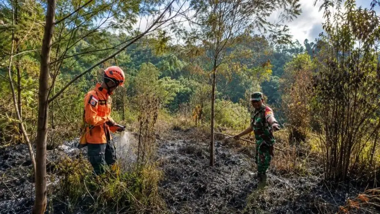 Petugas memadamkan api yang membakar hutan di Gunung Semeru