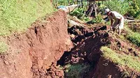 Seorang petani mencangkul di ladang yang ambles di lereng Gunung Wilis, tepatnya Desa Bodag, Kecamatan Kare, Kabupaten Madiun, Jawa Timur.(Antara)