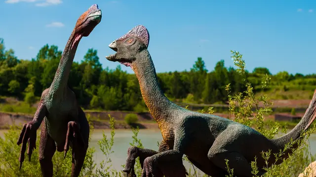 Ilustrasi dinosaurus (pixabay)