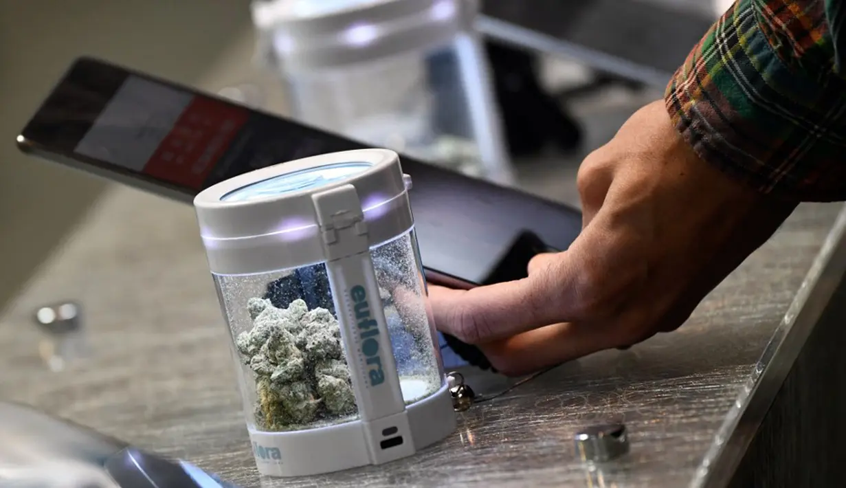 Ganja dipajang untuk dijual di apotek ganja Euflora, Denver, Colorado, Amerika Serikat, 20 April 2022. Puluhan ribu penggemar ganja berkumpul di Denver pada 20 April untuk merayakan legalisasi ganja rekreasi di Amerika Serikat. (Patrick T. FALLON/AFP)