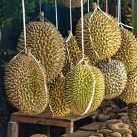Cara mematangkan buah durian yang masih mentah dengan lebih cepat (foto: Pexels/Tom Fisk)
