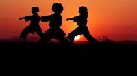 ilustrasi karate  (sumber: Pixabay)