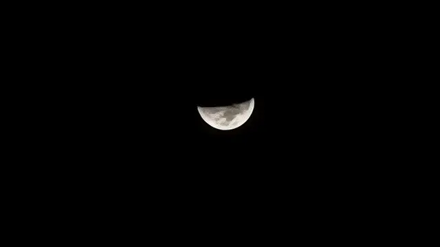 Hasil Foto Zoom 20x Oppo Find N3 Flip