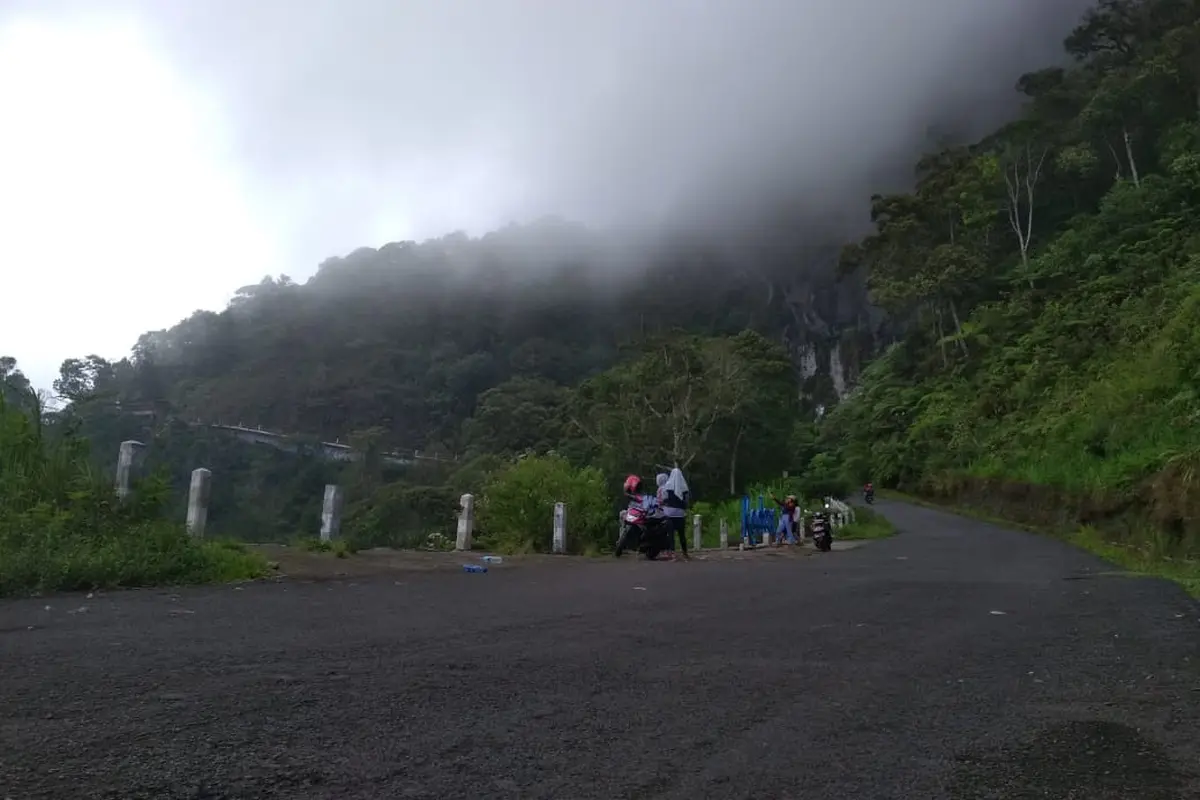 Kabut di kaki Gunung Wilis