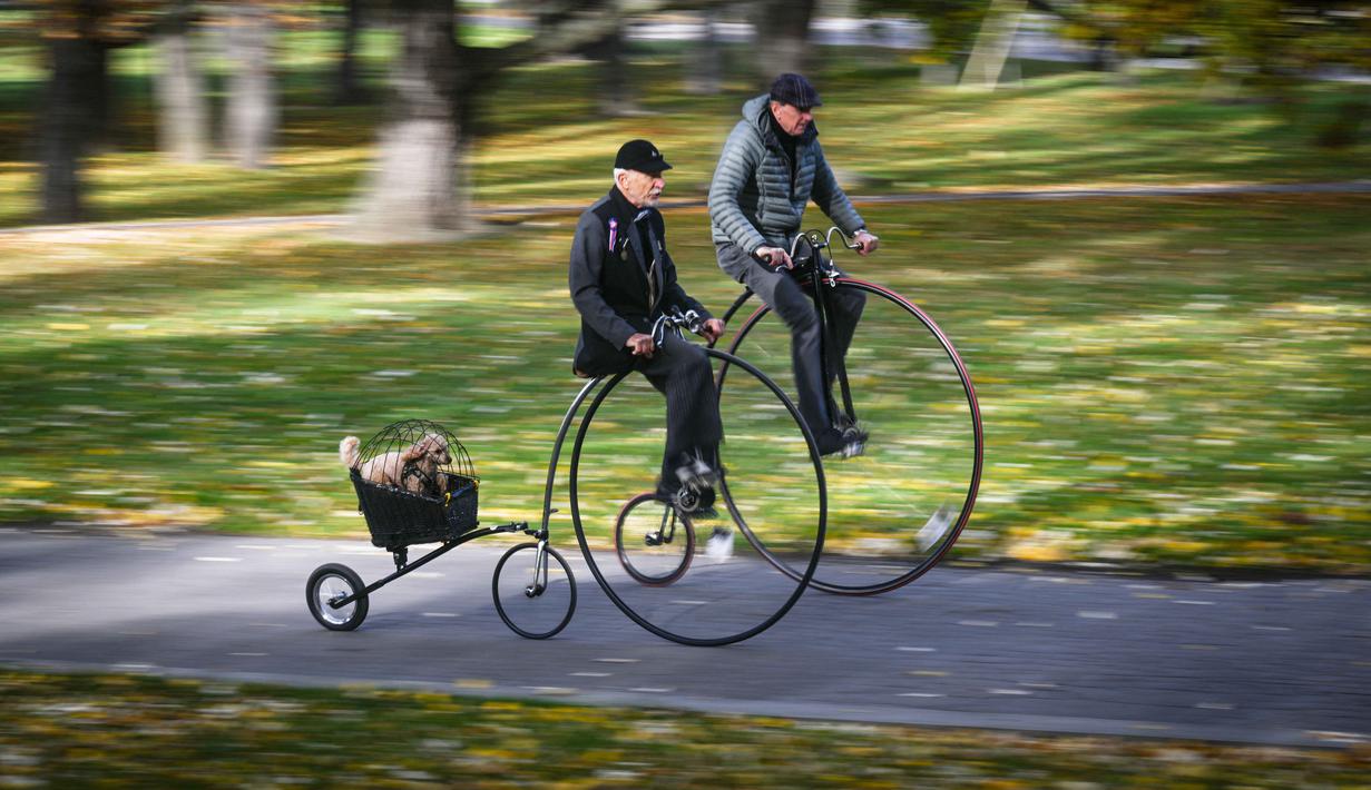 Para penggemar sepeda yang mereka sebut penny-farthing, atau yang juga dikenal sebagai high wheel, dalam kompetisi tradisional 'One Mile Race' di Taman Letna, Praha, Republik Ceko, pada 1 November 2025. Sepeda jenis ini ditemukan sekitar tahun 1870 dan populer hingga model dengan dua roda dan rantai berukuran sama dikembangkan pada tahun 1880-an. (Michal Cizek/AFP)