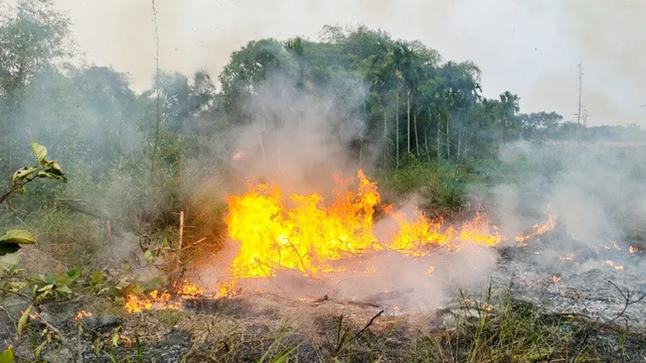 Kebakaran lahan di Pekanbaru mengepulkan kabut asap yang mulai mendekati pemukiman warga.