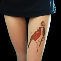 Ingin miliki tato tapi bukan yang permanen, kamu harus coba pakai stocking ini. (via: Boredpanda.com)