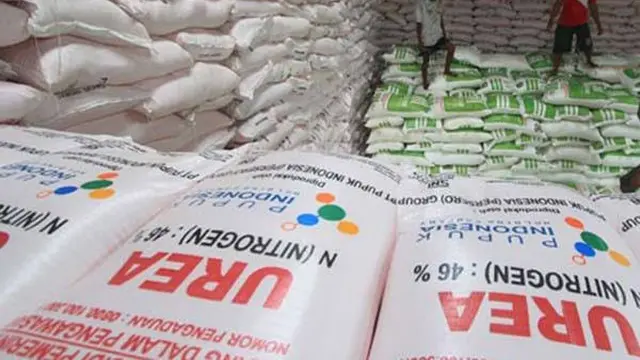 Ilustrasi stok pupuk urea bersubsidi (Istimewa)