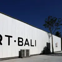 Untuk memadukan industri kreatif, Dana hadir sebagai metode pembayaran nontunai di Art Bali 2019 (Foto: Dana)