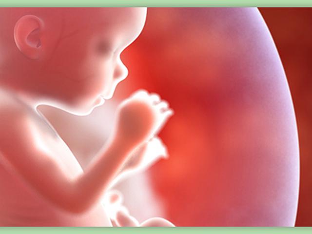 Ini Untungnya Daftar Janin Ke Bpjs Sejak Dini Health Liputan6 Com