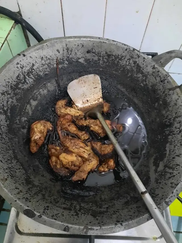 6 Momen Apes Makan Opor Ayam saat Lebaran Ini Bikin Elus Dada