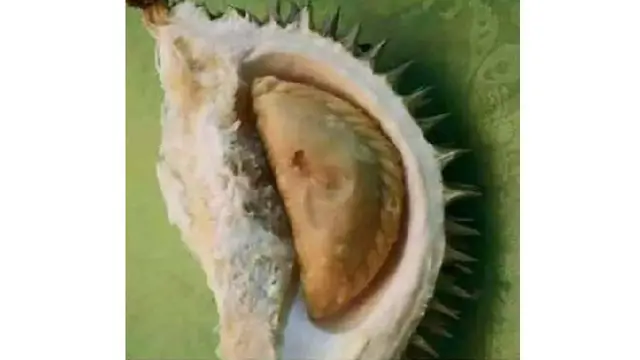 Bukannya Kenyang, Lihat 11 Tingkah Absurd Saat Makan Ini Malah Bikin Ketawa Geli