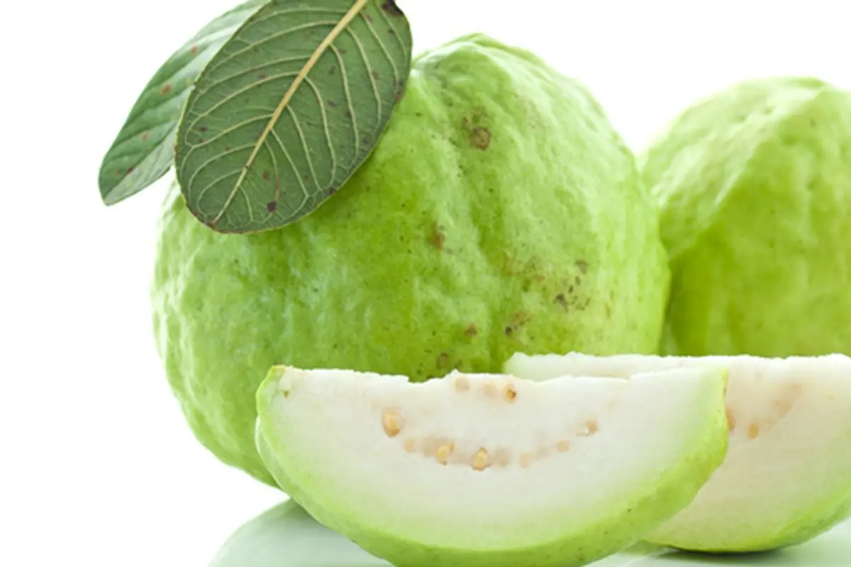 Courtesy ShutterStock.com