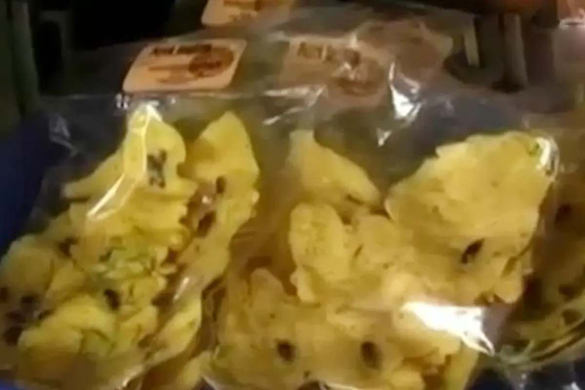 Bedah-Usaha-Peyek-Jangkrik