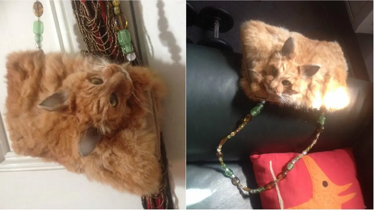 Tas kucing (0)