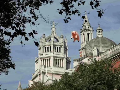 Balon udara berbentuk babi melayang di atas Victoria and Albert Museum di London, Inggris, Rabu (31/8). Balon babi berwarna pink itu untuk mempromosikan pameran grup band "Pink Floyd" yang akan dibuka mulai bulan Mei 2017. (REUTERS/Peter Nicholls)