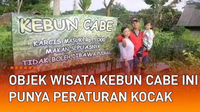 Objek wisata kebun cabe ini mempunyai peraturan yang lucu dan kocak mengundang perhatian