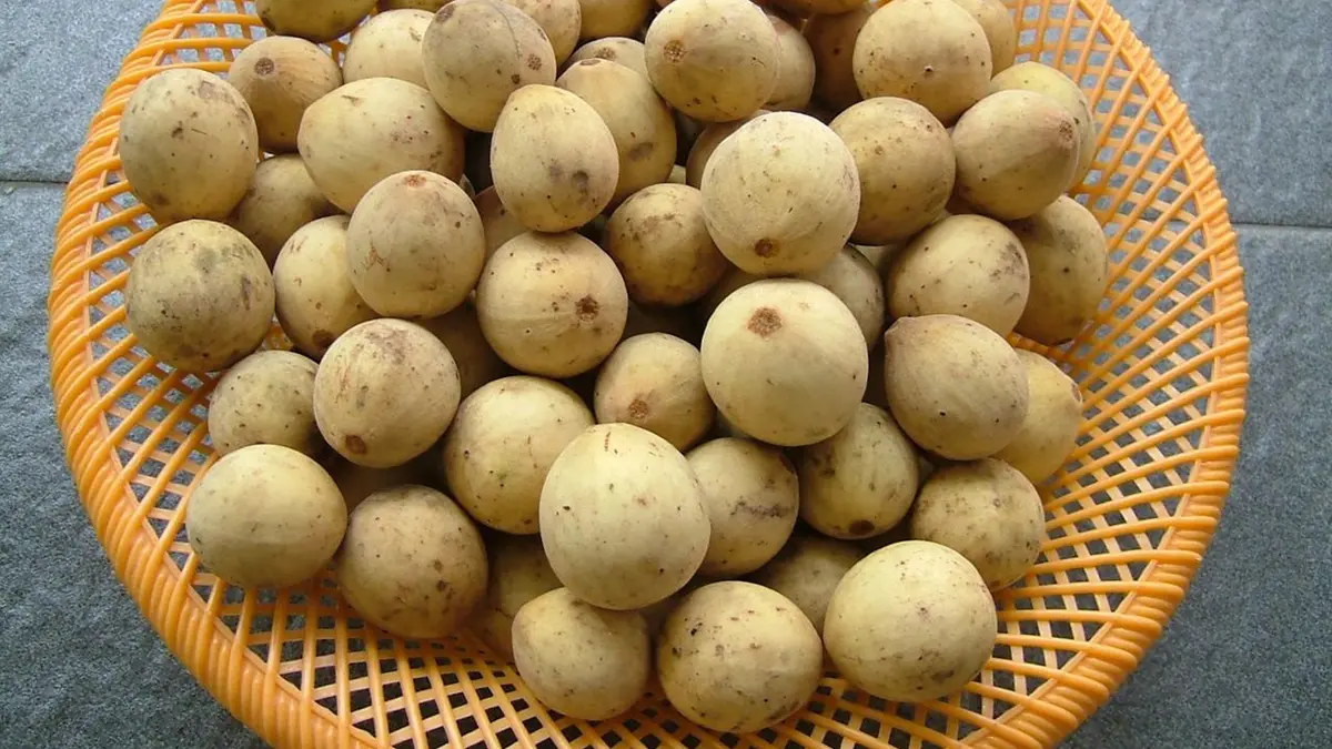 Manfaat Buah Duku Untuk Menjaga Kesehatan Tubuh - Lifestyle Fimela.com