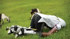 Demi mewujudkan sebuah penelitian, seorang pria di London nekat menjalani kehidupannya seperti seekor kambing.
