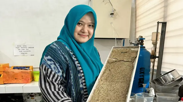 Pita Mulsa Organik dari Limbah Pisang dan Enceng Gondok Cegah Pertumbuhan Gulma