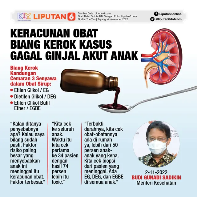 Infografis Keracunan Obat Biang Kerok Kasus Gagal Ginjal Akut Anak (Liputan6.com/Triyasni)