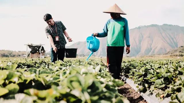 Dirut BRI Tekankan Pentingnya Ketahanan Pangan Agar Indonesia Bebas dari Middle Income Trap