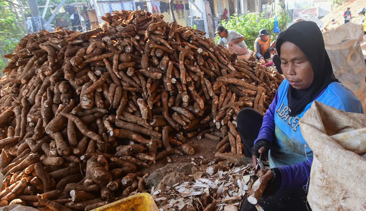 Pekerja mengolah singkong di sentra pengolahan bahan baku makanan ringan di Ciampea, Kabupaten Bogor, Jawa Barat, Minggu (26/7/2026).  (KLY/ Arie Basuki)