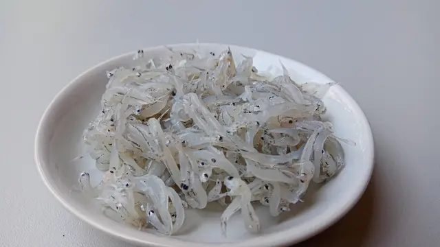 ilustrasi manfaat mengonsumsi ikan teri untuk kesehatan/Yessi Frenda/shutterstock