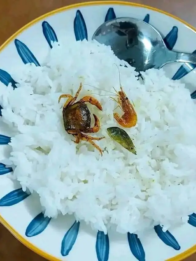 6 Potret Makan Irit Pakai Seafood Ini Bikin Tepuk Jidat