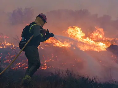 Seorang petugas pemadam kebakaran beroperasi di lokasi kebakaran hutan di Pumarejo de Tera dekat Zamora, Spanyol, 18 Juni 2022. Petugas pemadam kebakaran terus berjuang melawan beberapa kebakaran di Spanyol, salah satunya menghancurkan hampir 20.000 hektare lahan, pada hari terakhir gelombang panas ekstrem yang menghancurkan negara itu dengan puncaknya mencapai 43 derajat. (CESAR MANSO/AFP)