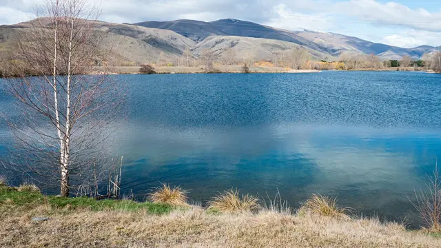 Twizel