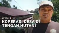 Koperasi Desa di Tengah Hutan?
