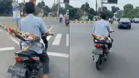 2 Video Ayam Saat Bonceng Motor Ini Bikin Geleng Kepala