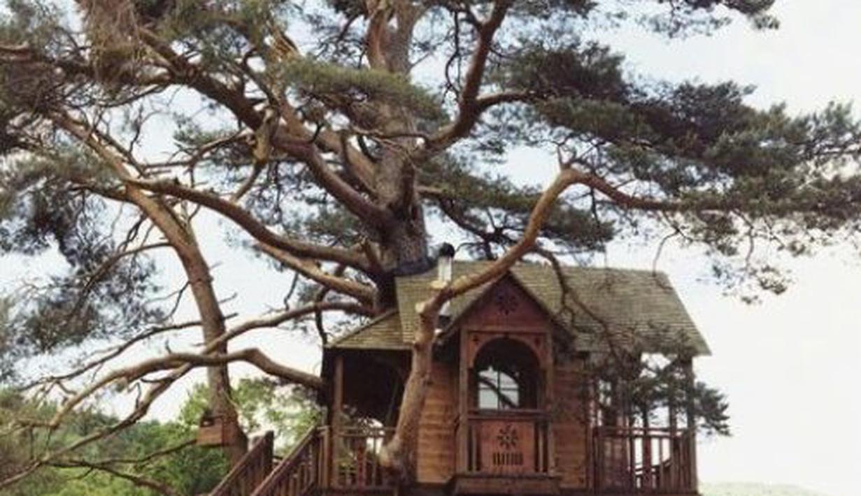 52 Gambar Rumah Pohon Gratis Terbaik