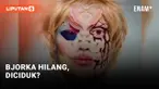 Bjorka Hilang, Kemana?