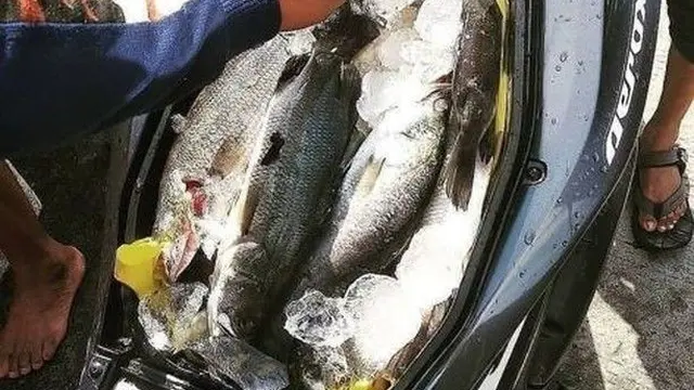 7 Potret Nyeleneh Isi Bagasi Motor Ini Bikin Heran, Ada yang Simpan Ayam