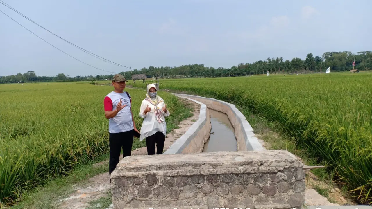 Dukung Pertanian Palas Lampung Selatan, Ditjen PSP Kementan Berikan RJIT