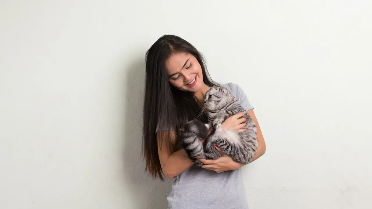 Less Drama! Begini Cara Adopsi Kucing yang Cocok dengan Kepribadianmu