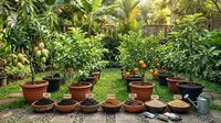 7 Media Tanam Terbaik untuk Pohon Buah dalam Pot Agar Subur, Cocok untuk Tabulampot