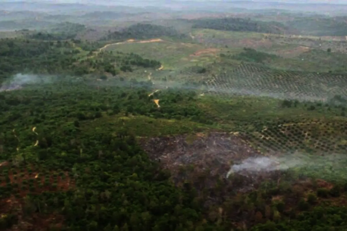 Kebakaran Lahan