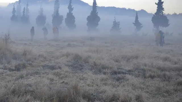 Dinginnya udara Dieng sampai embun berubah jadi es