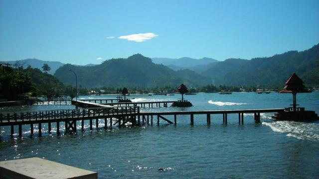 Menikmati Pagi Biru Bersama Penyu Penyu Lucu Di Pantai Pesisir