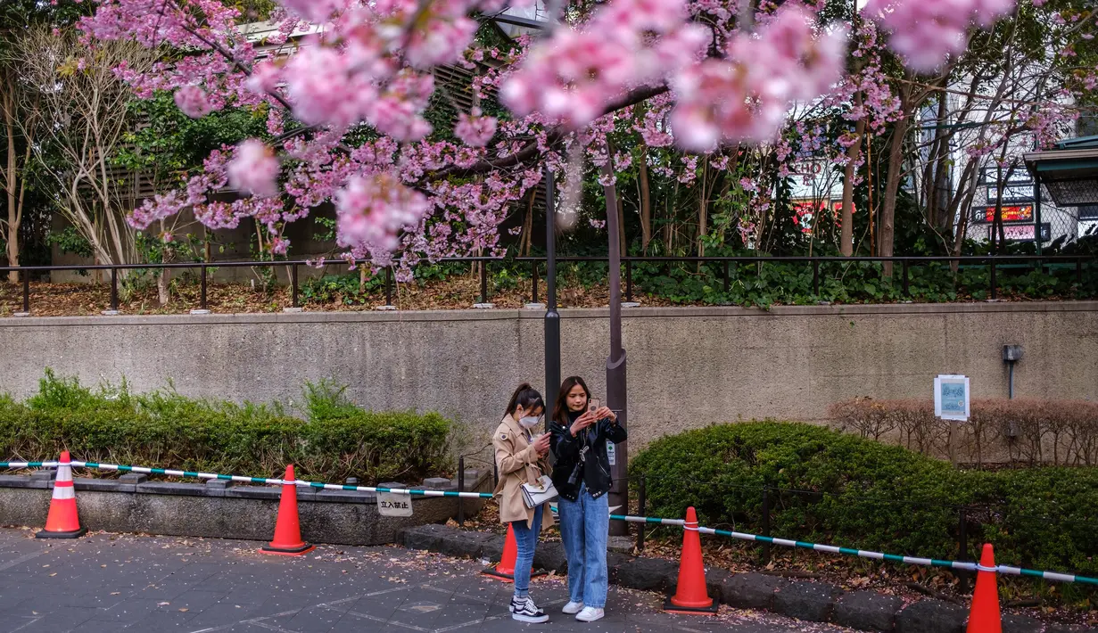 Orang-orang mengambil gambar bunga sakura di Taman Ueno di Tokyo, Jepang pada Senin (21/3/2022). Suhu tinggi sejak awal Maret mungkin menyebabkan musim mekarnya sakura lebih cepat dibandingkan biasanya. (Philip FONG / AFP)