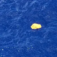 Sebuah benda diduga milik pesawat Egypt Air mengapung di Perairan Karpathos, Yunani. Tim SAR Mesir dan Yunani tengah menyelidikinya.