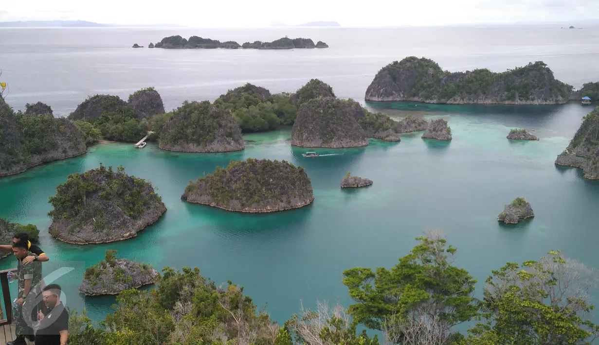 Pengunjung berada di Pulau Piaynemo di Kabupaten Raja Ampat, Papua Barat. Pulau Piaynemo juga sering disebut sebagai Pulau Wayag kecil. (Liputan6.com/Zulfi Suhendra)