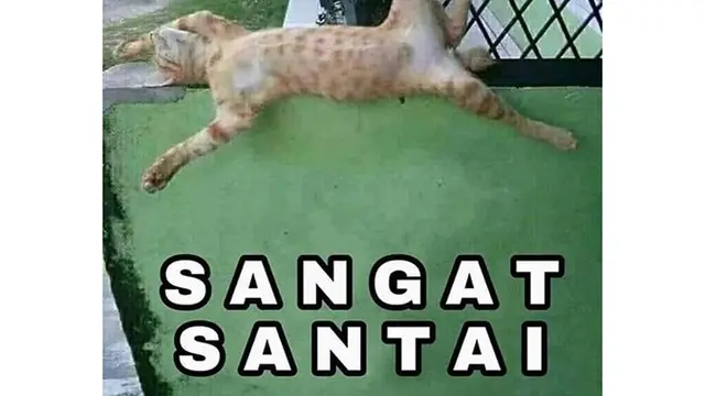 Kucing Oranye (Sumber: Instagram/meme.comik.indonesia)