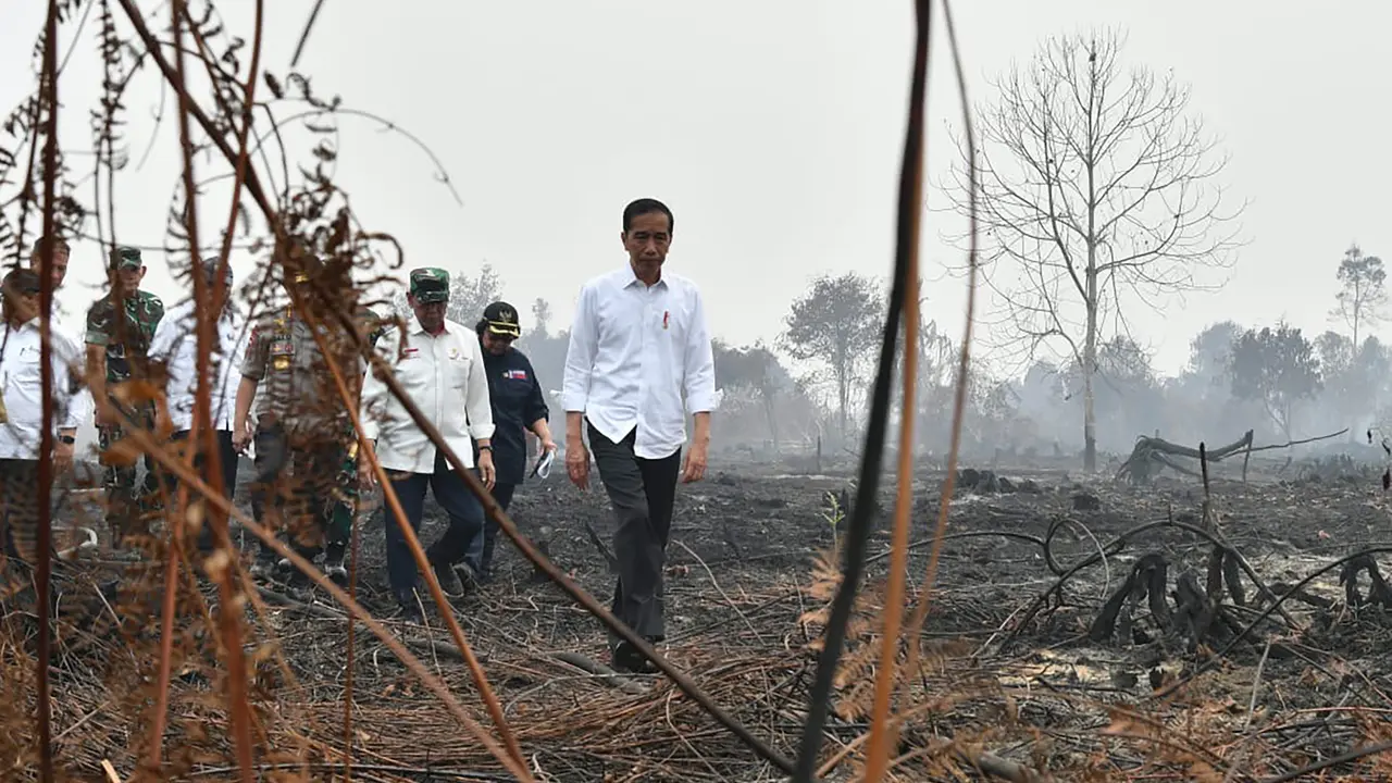 anpa Masker, Jokowi Tinjau Lokasi Kebakaran Hutan di Pekanbaru