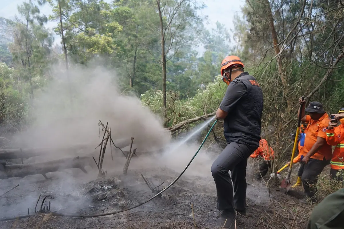 Petugan BPBD memadamkan api di Bukit Teletubbies Bromo. (Istimewa)