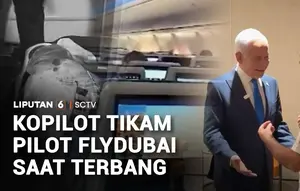 Pesawat FlyDubai Nyaris Jatuh, Pilot dan Kopilot Terlibat Perkelahian di Udara